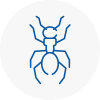 Ant Removals In Cardigan
