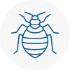 Bed Bug Extermination In Cardigan