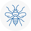 Cardigan Hornet Nest Removals
