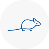 Mice Exterminators In Cardigan