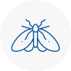 Moth Control Specialists In Cardigan