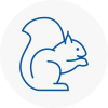 Cardigan Rodent Removals