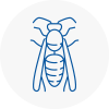 Cardigan Wasp Nest Removal